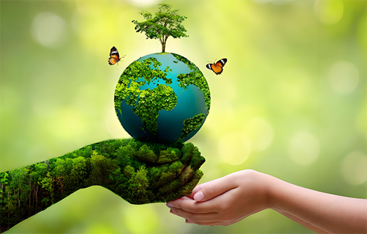 Balanced innovation and technology return to nature - the exploration and practice of the technical route towards ecological balance under the condition of industrialization